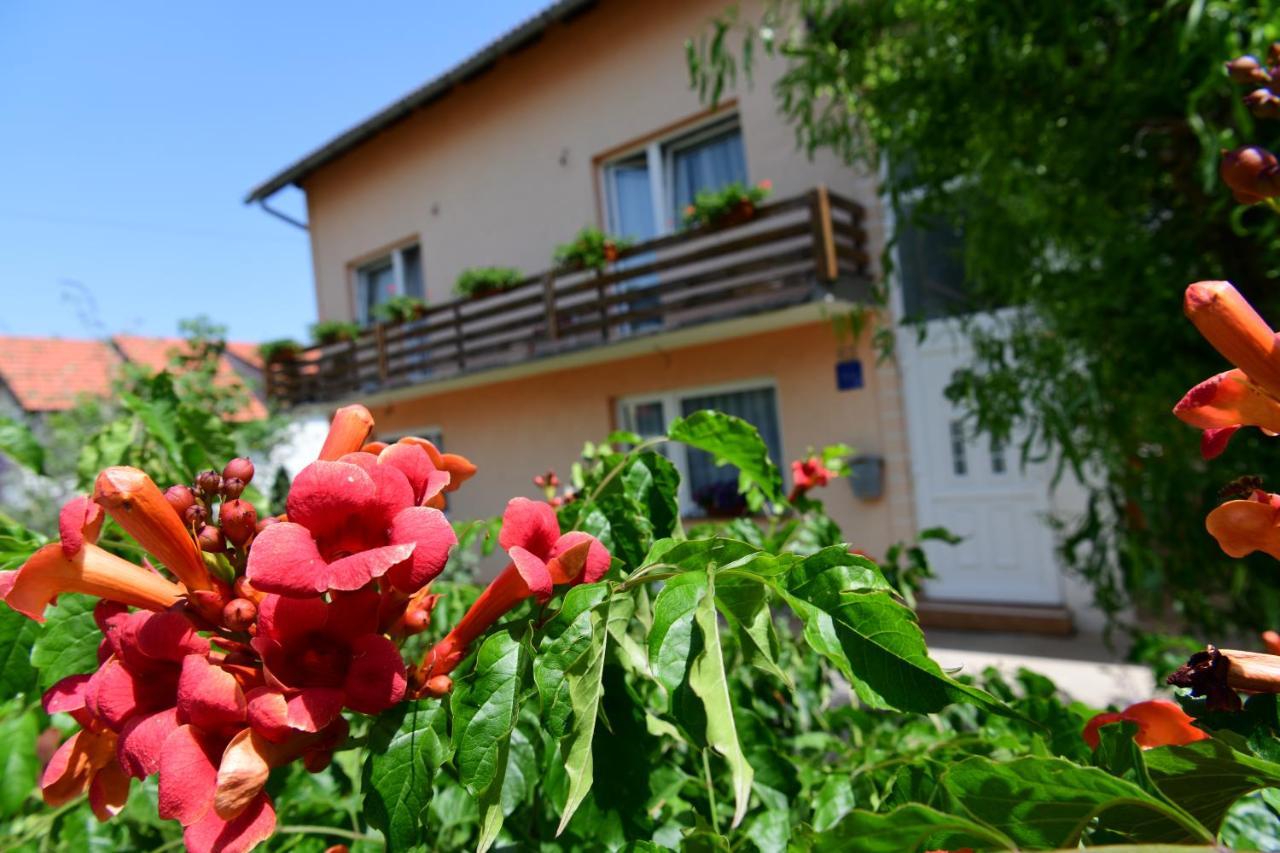 Apartman Dorijan Rakovica Kültér fotó